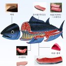 다랑어참치회 이미지
