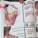 소통테라피 이미지