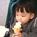 쭌아이스크림 네이버블로그