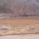 어상천면사무소 이미지