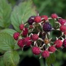 자연슈퍼 이미지