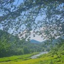 달천계곡 하류 이미지