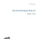 한혜영 시조집 『뒷모습에 잠깐 빠졌을 뿐입니다』(2024. 3. 가히 시인선) 이미지