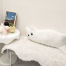 하계역 2~3번출구 사이 이미지