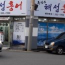 해성홍어