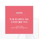 수리안