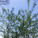 우리목장(1) 이미지