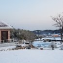 별빛민박농원 이미지