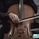 첼로 (행복한 첼로) 이미지