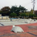 산호대교주유소 이미지