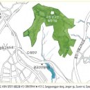 숲속솔향기