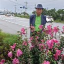 평택무궁화주유소 이미지