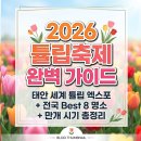 K-매직 페스타 | 2026 튤립 축제 완벽 가이드 — 태안 세계튤립꽃박람회 + 전국 명소 TOP 8 + 절정 시기 총정리