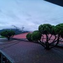 청도강변돌고래펜션 이미지