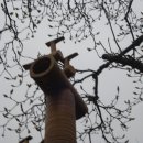 공명(共鳴) 이미지