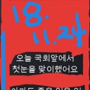 뉴이즘