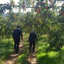 현화농장 이미지