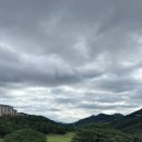 (주)체리센스 | 원주) 명문구장 오크밸리cc 파인-체리코스 서비스 크리크 코스까지! 1박2일 골프여행기