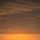 평화의 소리 이미지