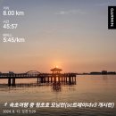 뉴발란스 러닝화 SC트레이너v3 민트색 구매 및 실착 후기
