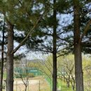 금반저류지 테니스장 이미지