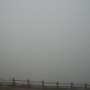 대관령목장 이미지