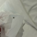 미니(mini)모텔 | 경주 금리단길 가성비 숙소 가야미니호텔｜가격, 위치 빼고는 다 아쉬웠던 솔직 후기
