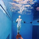 레벨(LEVEL) | 머메이드 레벨2 과정, PSA 머메이드 과정 후기(Level2) ㅣ프리다이브 블랙쉽