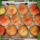 태우농장 이미지