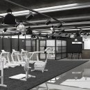 디톡스핏 피티 이미지