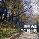 원비래어린이공원 | 인천 아이와 가볼만한곳 어린이놀이터와 매점이 있는 수봉공원