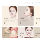 스카이성형외과의원 이미지