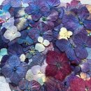 솔송주 문화관 이미지