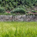 노현1리 이미지