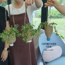 테라피e룸