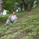 대왕농원 이미지