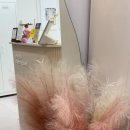 네일바이은 이미지