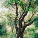 하버파크호텔 이미지