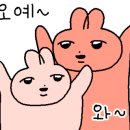 청년양고기 경산정평점 이미지