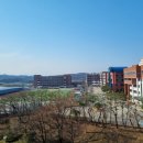 라비돌매점