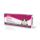 다솜고양이메디컬센터 이미지