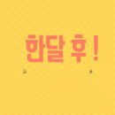 101학원 | 영어회화학원·어학연수 다 해봤는데 (언어교환101 내돈내산 비교후기)