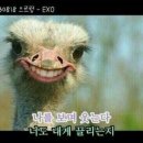 빈스앤비츠 네이버블로그
