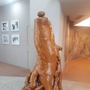 금산인삼관 이미지