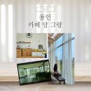 더그랑리빙 | 용인 카페앙그랑 - 샤스타데이지 명소 감성대형카페 용인농촌테마파크 카페