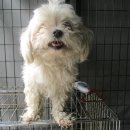 쇄운주유소 이미지