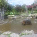 함안(순천) 이미지