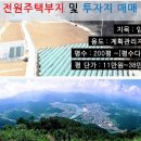 강원도 영월 전원주택부지 300평 11만 이미지