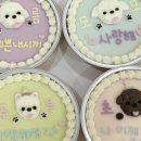 멍멍이츠 이미지