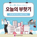 레브드디자인